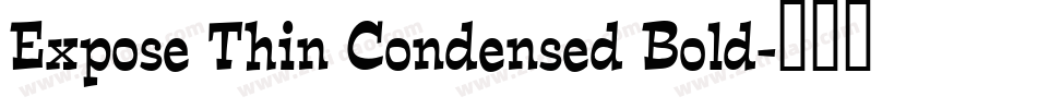 Expose Thin Condensed Bold字体转换
